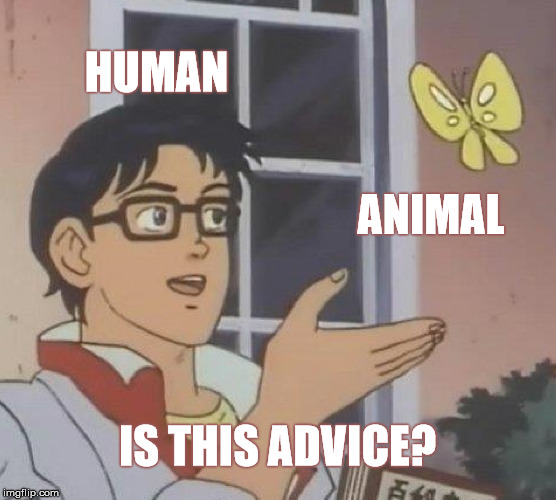 Is This A Pigeon Meme | HUMAN ANIMAL IS THIS ADVICE? | image tagged in memes,is this a pigeon | made w/ Imgflip meme maker