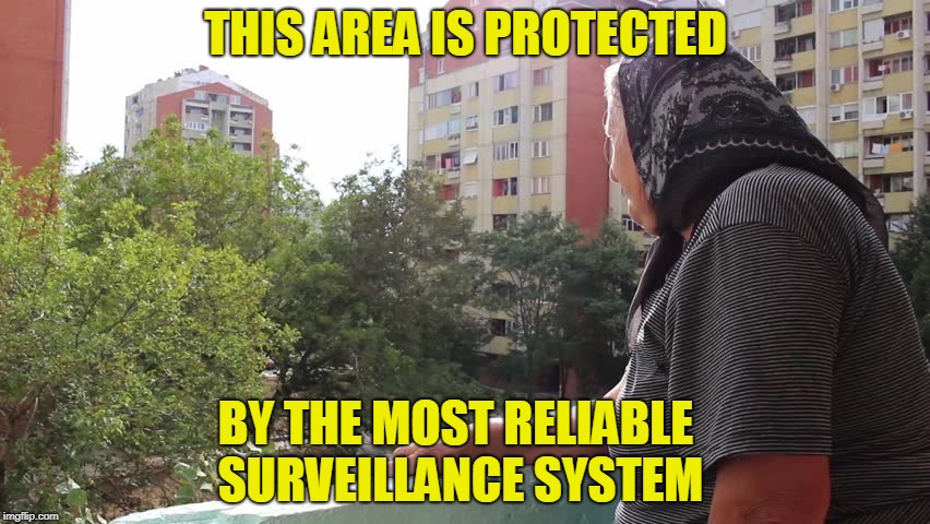 Best Outdoor Security System | THIS AREA IS PROTECTED; BY THE MOST RELIABLE SURVEILLANCE SYSTEM | image tagged in memes | made w/ Imgflip meme maker