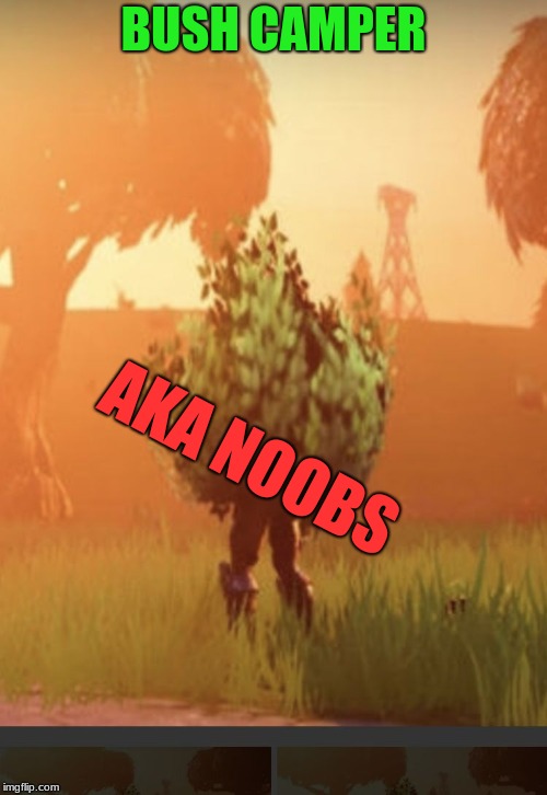 Fortnite bush | BUSH CAMPER; AKA NOOBS | image tagged in fortnite bush | made w/ Imgflip meme maker