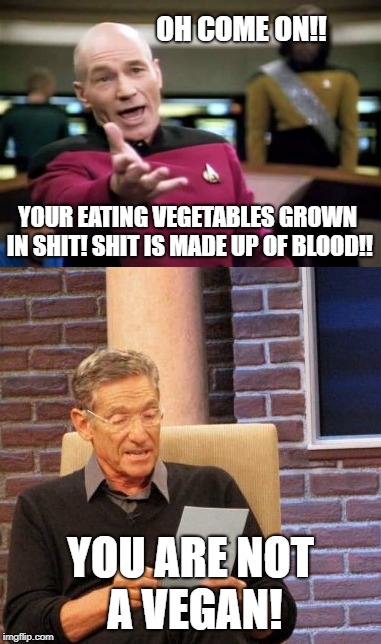 OH COME ON!! YOUR EATING VEGETABLES GROWN IN SHIT! SHIT IS MADE UP OF BLOOD!! YOU ARE NOT A VEGAN! | image tagged in picard wtf | made w/ Imgflip meme maker