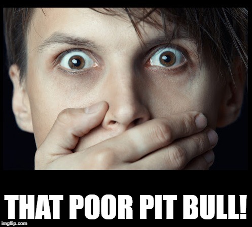 oh my | THAT POOR PIT BULL! | image tagged in oh my | made w/ Imgflip meme maker