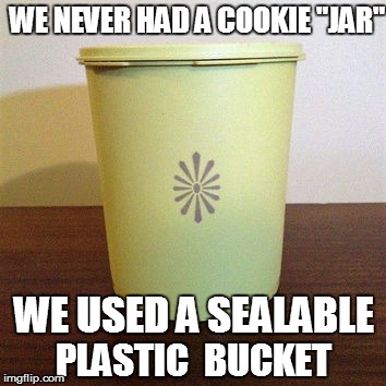 WE NEVER HAD A COOKIE "JAR" WE USED A SEALABLE PLASTIC  BUCKET | made w/ Imgflip meme maker