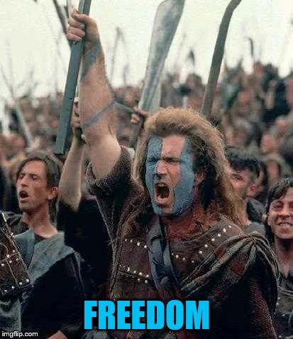 Braveheart | FREEDOM | image tagged in braveheart | made w/ Imgflip meme maker