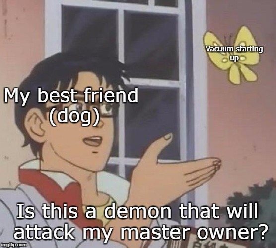 Is This A Pigeon Meme | Vacuum starting up; My best friend (dog); Is this a demon that will attack my master owner? | image tagged in memes,is this a pigeon | made w/ Imgflip meme maker