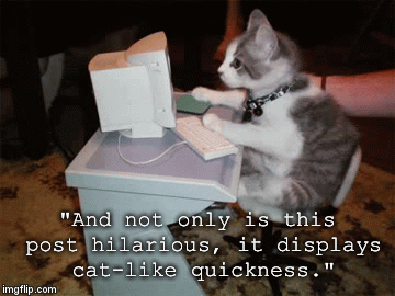 "And not only is this post hilarious, it displays cat-like quickness." | image tagged in gifs | made w/ Imgflip video-to-gif maker