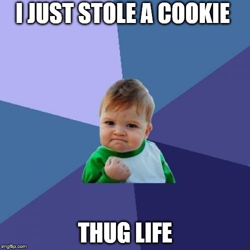 Success Kid Meme | I JUST STOLE A COOKIE; THUG LIFE | image tagged in memes,success kid | made w/ Imgflip meme maker