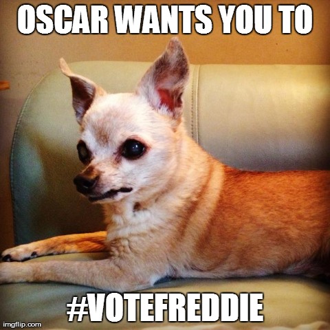 OSCAR WANTS YOU TO #VOTEFREDDIE | made w/ Imgflip meme maker