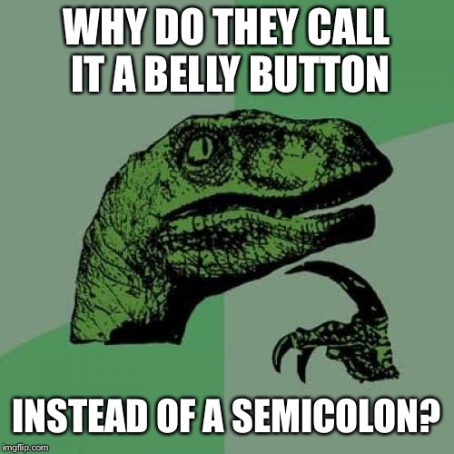 Philosoraptor Meme | WHY DO THEY CALL IT A BELLY BUTTON; INSTEAD OF A SEMICOLON? | image tagged in memes,philosoraptor | made w/ Imgflip meme maker