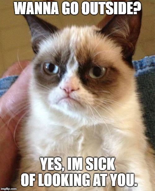 Grumpy Cat Meme | WANNA GO OUTSIDE? YES, IM SICK OF LOOKING AT YOU. | image tagged in memes,grumpy cat | made w/ Imgflip meme maker