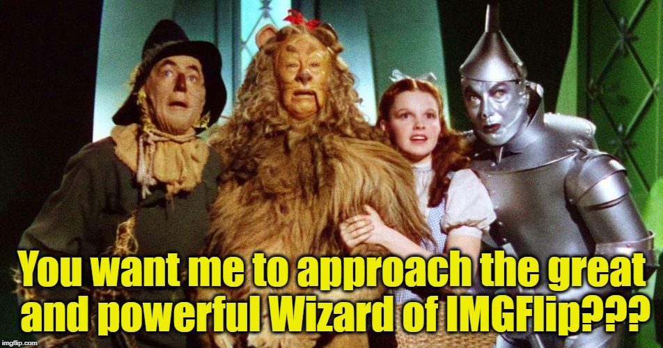 You want me to approach the great and powerful Wizard of IMGFlip??? | made w/ Imgflip meme maker