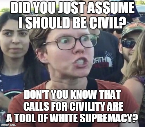 DID YOU JUST ASSUME I SHOULD BE CIVIL? DON'T YOU KNOW THAT CALLS FOR CIVILITY ARE A TOOL OF WHITE SUPREMACY? | made w/ Imgflip meme maker