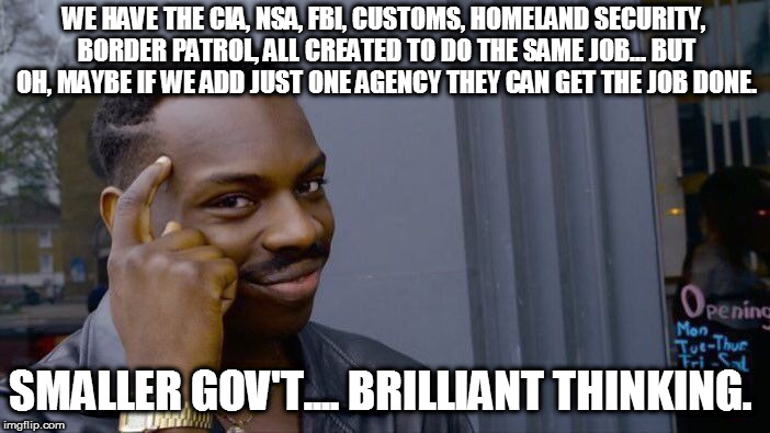 Roll Safe Think About It Meme | WE HAVE THE CIA, NSA, FBI, CUSTOMS, HOMELAND SECURITY, BORDER PATROL, ALL CREATED TO DO THE SAME JOB... BUT OH, MAYBE IF WE ADD JUST ONE AGE | image tagged in memes,roll safe think about it | made w/ Imgflip meme maker