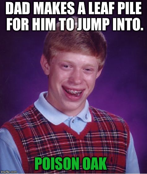 Bad Luck Brian | DAD MAKES A LEAF PILE FOR HIM TO JUMP INTO. POISON OAK | image tagged in memes,bad luck brian | made w/ Imgflip meme maker