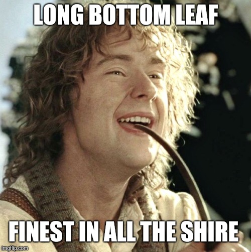 LONG BOTTOM LEAF FINEST IN ALL THE SHIRE | made w/ Imgflip meme maker
