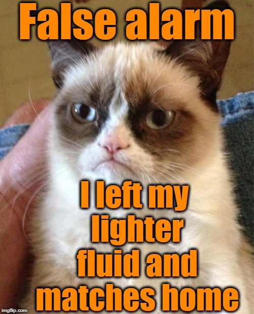 Grumpy Cat Meme | False alarm I left my lighter fluid and matches home | image tagged in memes,grumpy cat | made w/ Imgflip meme maker