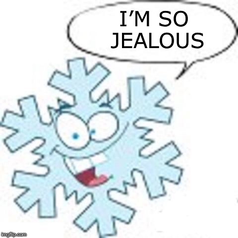 Snowflake | I’M SO JEALOUS | image tagged in snowflake | made w/ Imgflip meme maker