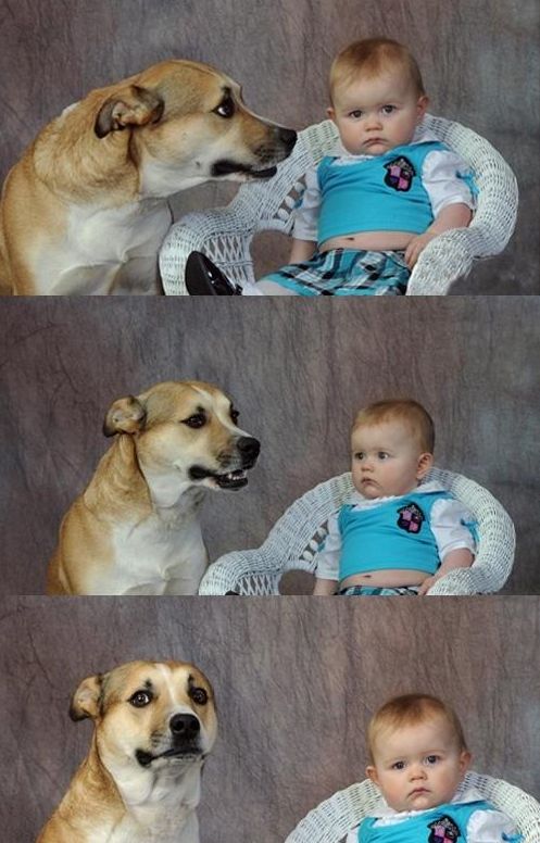 Baby and dog Blank Meme Template