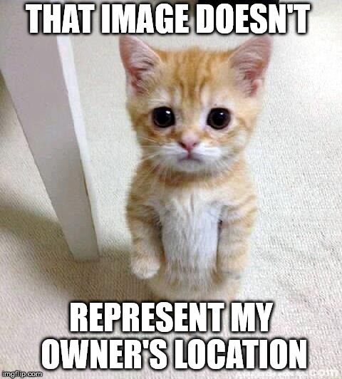 Cute Cat Meme | THAT IMAGE DOESN'T REPRESENT MY OWNER'S LOCATION | image tagged in memes,cute cat | made w/ Imgflip meme maker