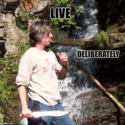 Live Deliberately | LIVE; DELIBERATELY | image tagged in live deliberately | made w/ Imgflip meme maker