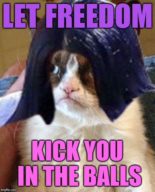 Grumpy Mima | LET FREEDOM; KICK YOU IN THE BALLS | image tagged in grumpy mima,memes,freedom | made w/ Imgflip meme maker