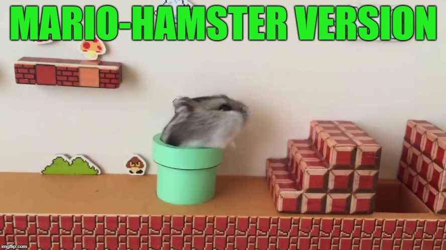 Hamster Weekend July 6-8, a bachmemeguy2, 1forpeace & Shen_Hiroku_Nagato event! | MARIO-HAMSTER VERSION | image tagged in memes,cute,hamster weekend | made w/ Imgflip meme maker