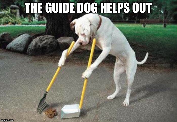 THE GUIDE DOG HELPS OUT | made w/ Imgflip meme maker