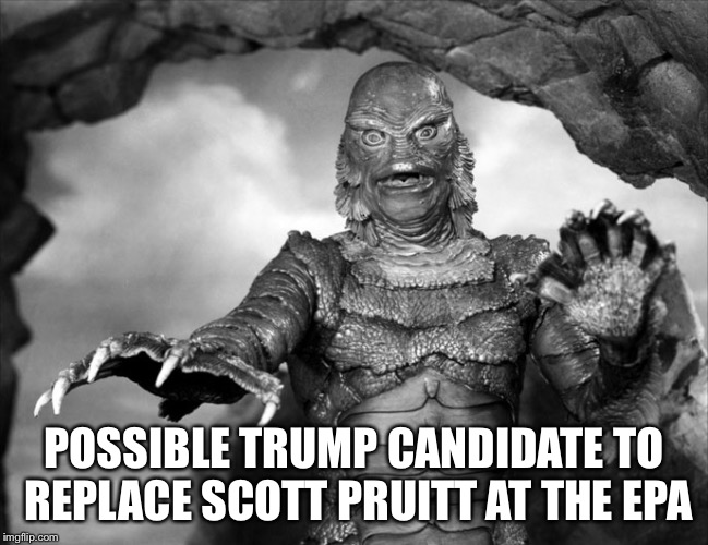 POSSIBLE TRUMP CANDIDATE TO REPLACE SCOTT PRUITT AT THE EPA | image tagged in trump epa | made w/ Imgflip meme maker