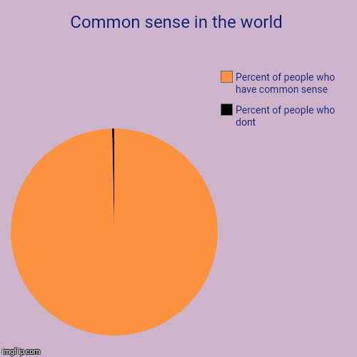 Common sense in this world | Common sense in the world | Percent of people who dont, Percent of people who have common sense | image tagged in funny,pie charts,common sense | made w/ Imgflip chart maker