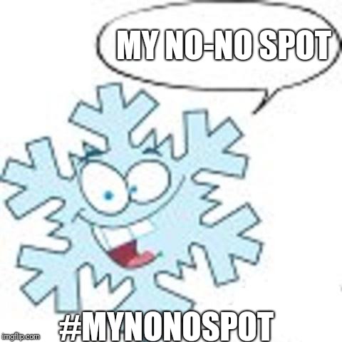 Snowflake | MY NO-NO SPOT #MYNONOSPOT | image tagged in snowflake | made w/ Imgflip meme maker
