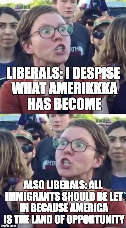 Angry Liberal Hypocrite | LIBERALS: I DESPISE WHAT AMERIKKKA HAS BECOME; ALSO LIBERALS: ALL IMMIGRANTS SHOULD BE LET IN BECAUSE AMERICA IS THE LAND OF OPPORTUNITY | image tagged in angry liberal hypocrite | made w/ Imgflip meme maker