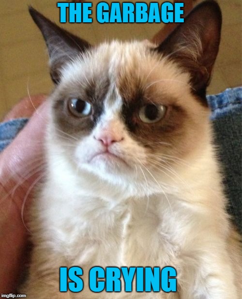 Grumpy Cat Meme | THE GARBAGE IS CRYING | image tagged in memes,grumpy cat | made w/ Imgflip meme maker