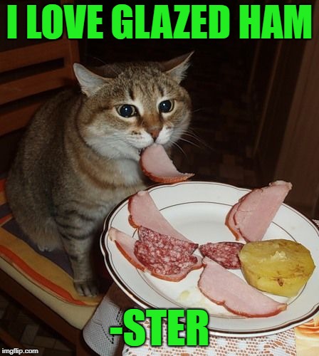 I LOVE GLAZED HAM -STER | made w/ Imgflip meme maker