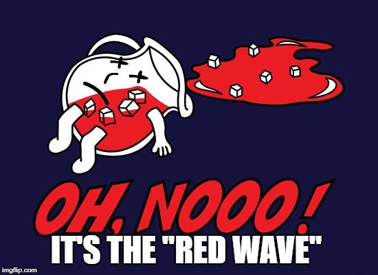 IT'S THE "RED WAVE" | image tagged in redwave | made w/ Imgflip meme maker
