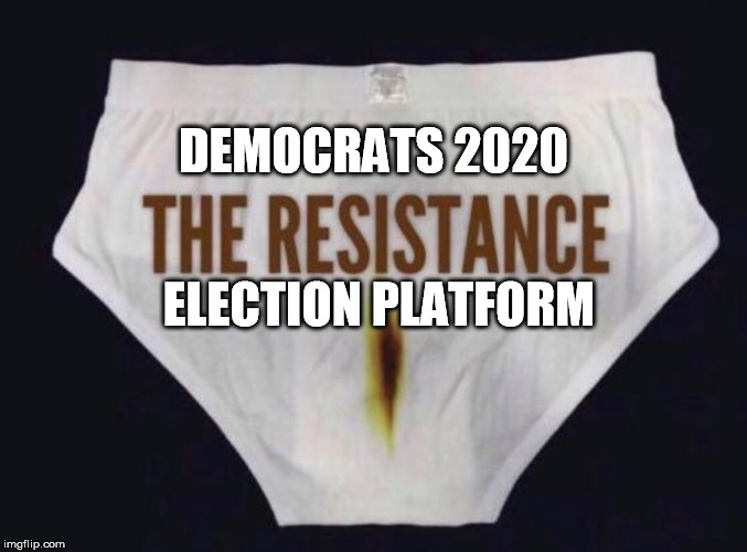 DEMOCRATS 2020; ELECTION PLATFORM | image tagged in democrats | made w/ Imgflip meme maker