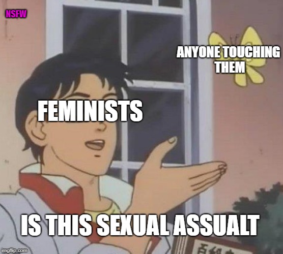 Is This A Pigeon Meme | NSFW; ANYONE TOUCHING THEM; FEMINISTS; IS THIS SEXUAL ASSUALT | image tagged in memes,is this a pigeon | made w/ Imgflip meme maker