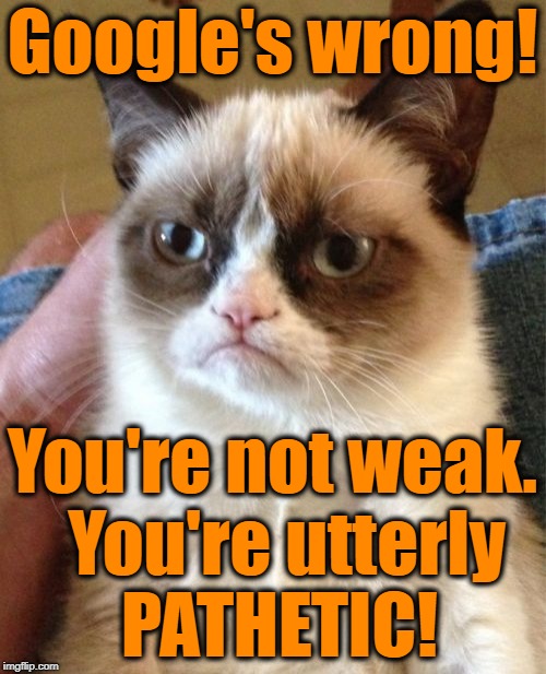 Grumpy Cat Meme | Google's wrong! You're not weak.  You're utterly PATHETIC! | image tagged in memes,grumpy cat | made w/ Imgflip meme maker