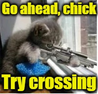 Go ahead, chick Try crossing | made w/ Imgflip meme maker