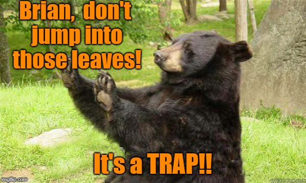 How about no bear | Brian,  don't jump into those leaves! It's a TRAP!! | image tagged in how about no bear | made w/ Imgflip meme maker