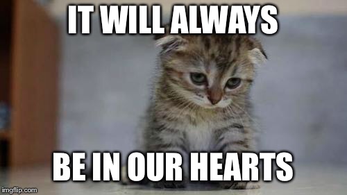 IT WILL ALWAYS BE IN OUR HEARTS | image tagged in sad kitten | made w/ Imgflip meme maker