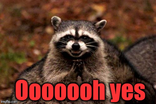 Evil Plotting Raccoon Meme | Ooooooh yes | image tagged in memes,evil plotting raccoon | made w/ Imgflip meme maker