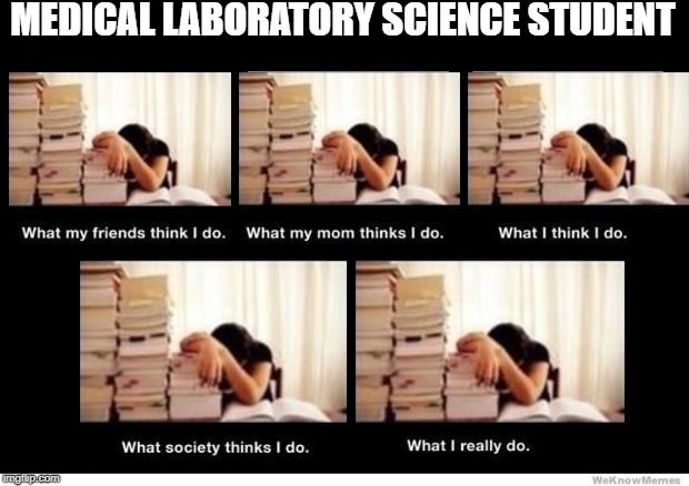 medical laboratory science meme