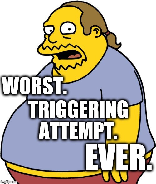 Comic Book Guy Meme | WORST. TRIGGERING ATTEMPT. EVER. | image tagged in memes,comic book guy | made w/ Imgflip meme maker