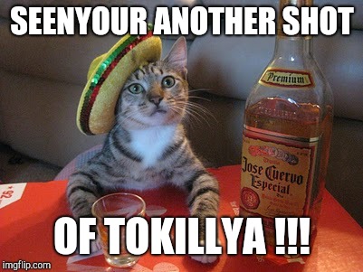 meanwhile in mexico | SEENYOUR ANOTHER SHOT; OF TOKILLYA !!! | image tagged in cats,booze | made w/ Imgflip meme maker