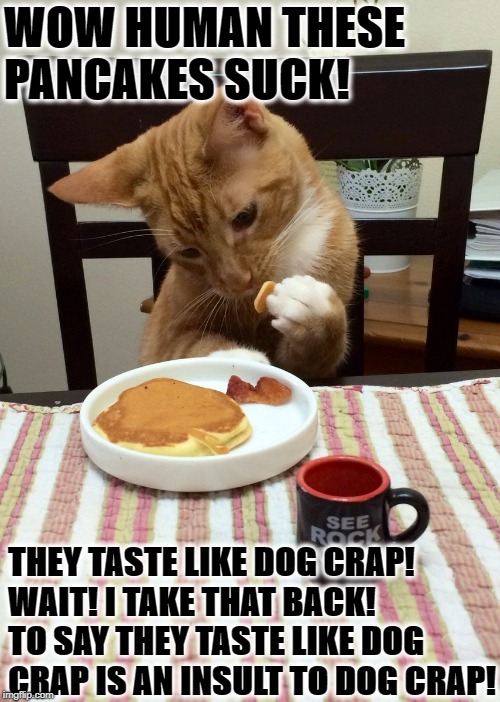 WOW HUMAN THESE PANCAKES SUCK! THEY TASTE LIKE DOG CRAP! WAIT! I TAKE THAT BACK! TO SAY THEY TASTE LIKE DOG CRAP IS AN INSULT TO DOG CRAP! | image tagged in cooking sucks | made w/ Imgflip meme maker