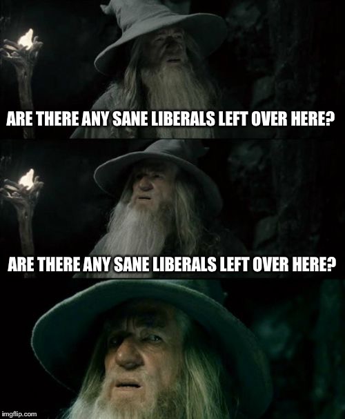 Confused Gandalf Meme | ARE THERE ANY SANE LIBERALS LEFT OVER HERE? ARE THERE ANY SANE LIBERALS LEFT OVER HERE? | image tagged in memes,confused gandalf | made w/ Imgflip meme maker