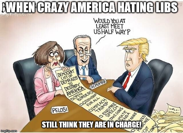 WHEN CRAZY AMERICA HATING LIBS; STILL THINK THEY ARE IN CHARGE! | image tagged in liberals | made w/ Imgflip meme maker