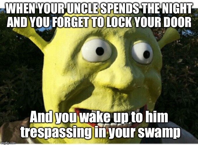 WHEN YOUR UNCLE SPENDS THE NIGHT AND YOU FORGET TO LOCK YOUR DOOR; And you wake up to him trespassing in your swamp | image tagged in shrek sexy face,memes | made w/ Imgflip meme maker