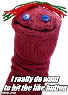 sock puppet | I really do want to hit the like button | image tagged in sock puppet | made w/ Imgflip meme maker