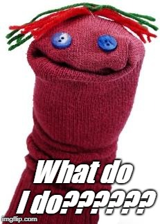 sock puppet | What do I do?????? | image tagged in sock puppet | made w/ Imgflip meme maker