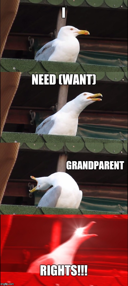 my grandma be all like... | I; NEED (WANT); GRANDPARENT; RIGHTS!!! | image tagged in memes,inhaling seagull | made w/ Imgflip meme maker
